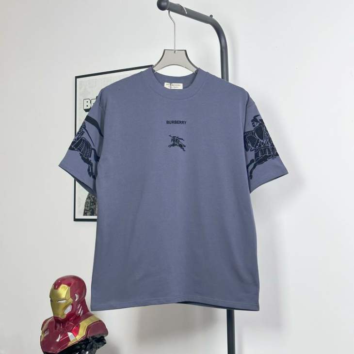 Picture of Burberry T Shirts Short _SKUBurberryS-XLhgntxBB2019546